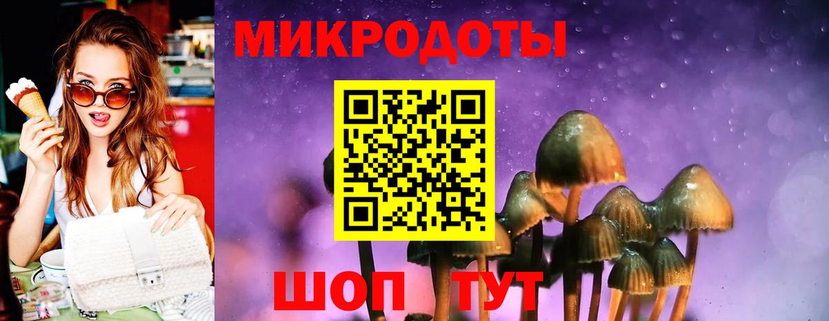 Псилоцибиновые грибы GOLDEN TEACHER  Вход с VPN  Тавда 