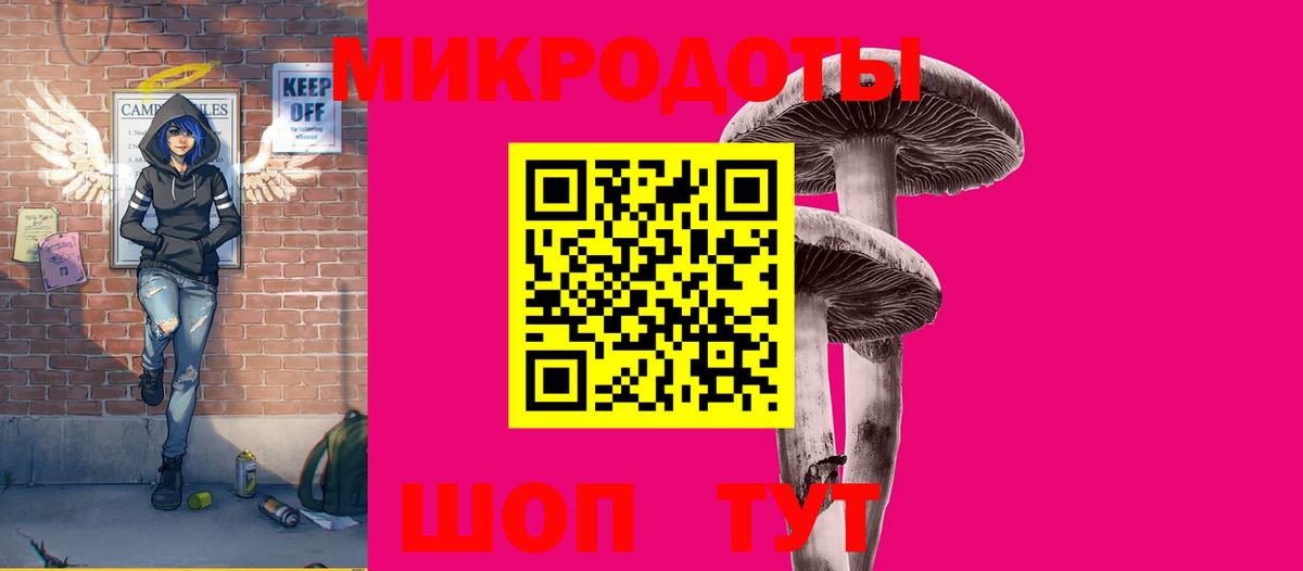 Галлюциногенные грибы Psilocybine cubensis Тавда